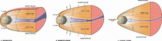 Illustration for article titled Mercury Flyby Maps New Territory